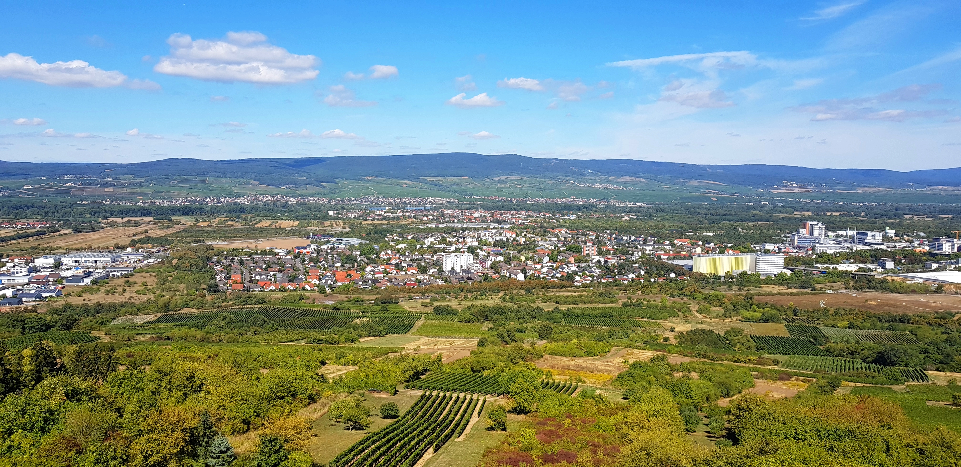 (c) Fdp-ingelheim.de